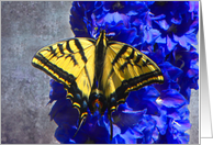 Yellow Swallowtail on Blue Floral card