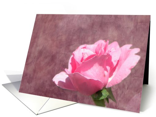 Soft Pink Rose card (658350)
