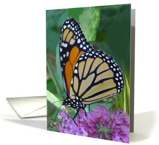 Amazing Monarch card (670951)