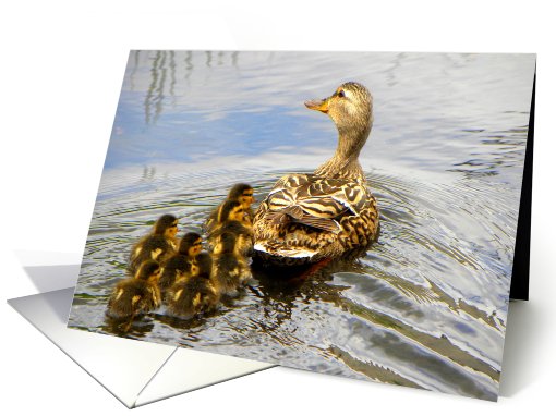 Mom Duck and Ducklings card (682299)