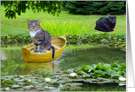 Little Boat and Two Cats card