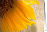 Sunflower Shadows card