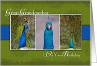 Peacock Birthday Card for Great Grandmother card