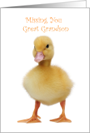 Missing You Great Grandson with Cute Duckling card