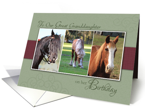 Great Granddaughter Birthday with Trio of Horses Photos card (1259376)