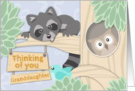 Thinking of you Granddaughter at Summer Camp with Woodland Creatures card