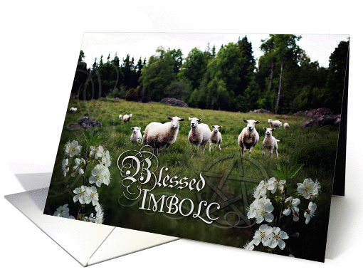 Blessed Imbolc, Sheep in Field, White Flowers, Pagan card (1306428)