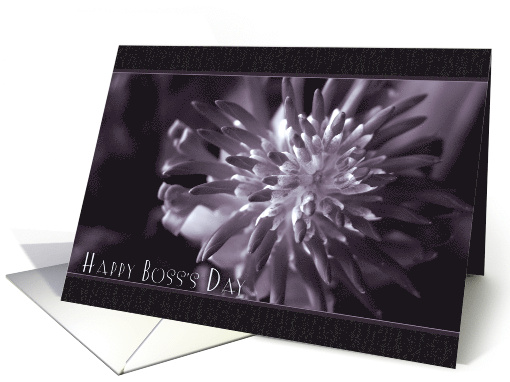 Happy Boss's Day with Close Up Bromeliad Photo card (1334190)