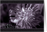 From all of us on Boss’s Day- Close Up Bromeliad Photo Card