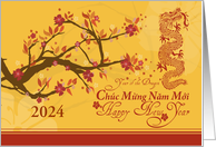 Vietnamese New Year...