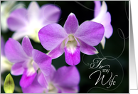 Anniversary Card for Wife with Pretty Purple Orchids card