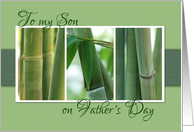 To My Son on Fathers Day with Bamboo Photos Card