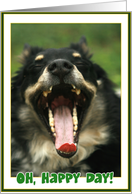 Oh, Happy Day Photo of a Super Smiling Dog card