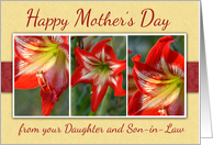 Mothers Day From Daughter and Son-in-Law with Amaryllis Flowers card