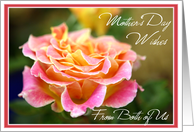 Pink Rose Mothers Day From Daughter and Son in Law card