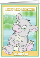 Grandson 3rd Birthday with Happy Hippo card