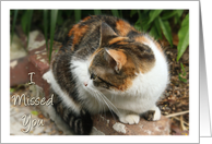 Welcome Home Calico Cat Photo card