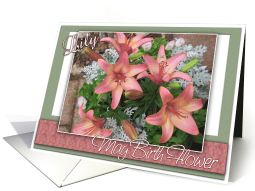 May Birth Flower Lily card (609107)