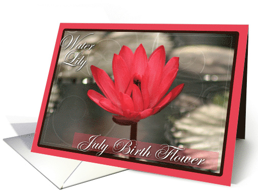 July Birth Flower with Water Lily card (609109)