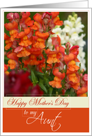 Happy Mother’s Day to My Aunt with Snapdragons card