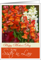 Happy Mothers Day to My Sister in Law Snapdragons card