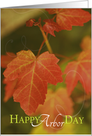 Happy Arbor Day with Fall Colored Leaves card