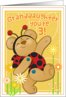 Button Bear Ladybug for Granddaughter 3rd Birthday card