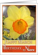 Happy March Birthday Niece- Daffodil card