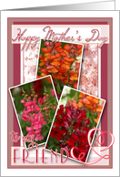 Happy Mothers Day to My Friend with Snapdragon Snapshots card