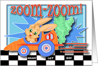 Racecar Birthday Party Invite with a Bunny Carrot Racecar card