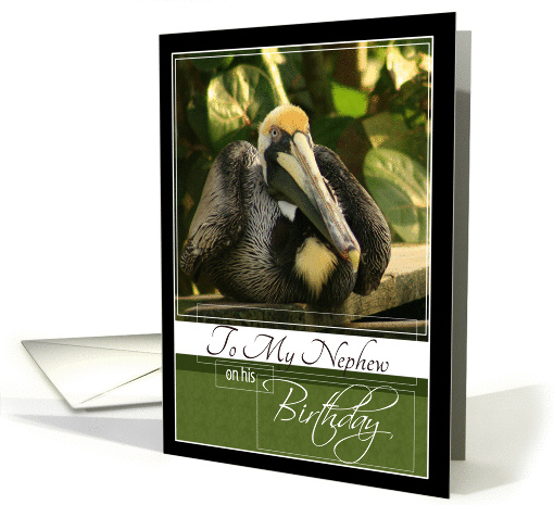 To My Nephew on his Birthday- Pelican card (845772)