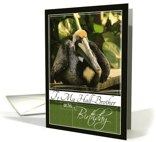 To My Half-Brother on his Birthday with a Pelican photo card (845777)