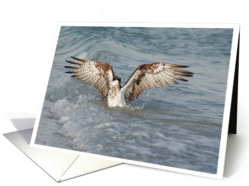 Osprey in Ocean Waves Photo Blank card (853916)