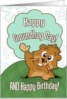 Happy Groundhog Day and Birthday with Cute Groundhog Illustration card