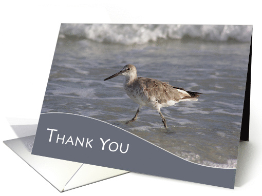 Thank you for Retirement Gift with Sea Bird along Ocean... (981159)