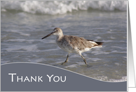 Thank you for Retirement Gift with Sea Bird along Ocean Waves Photo card