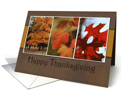 Happy Thanksgiving, Fall Leaves card (984527)