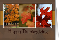 Happy Thanksgiving, Fall Leaves card
