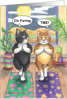 Yoga Posing Birthday Cats (Bud & Tony) card