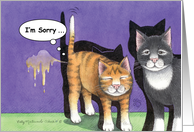 Apology Cats (Bud & Tony) card