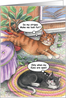 Friendship Thank You Cats (Bud & Tony) card