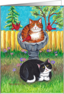 Bud and Tony Cats in Birdbath card