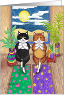 Bud and Tony Cats Yoga Birthday Humor card