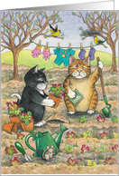 Cats Gardening Birthday (Bud & Tony) card