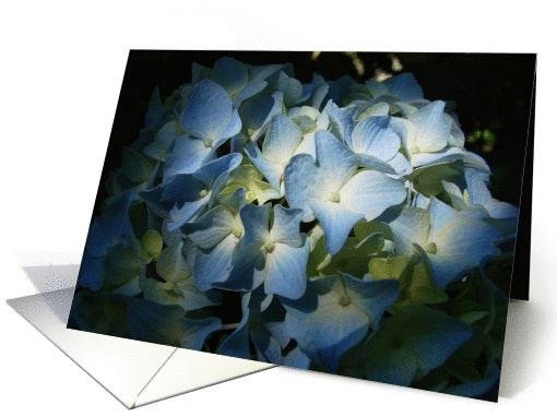 Mother's Day - Hydrangea Flowers card (367558)