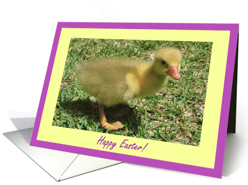 Happy Easter General Duckling Fuzzy Baby Duck Image Easter... (392491)