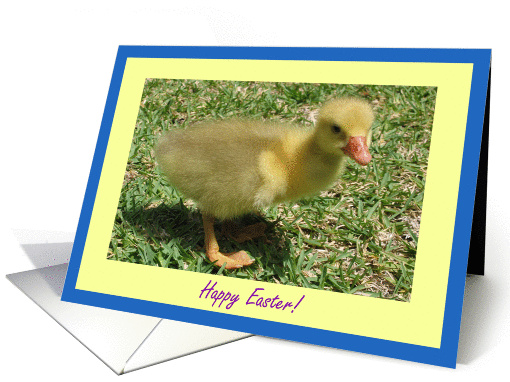 Happy Easter - Duckling card (392495)