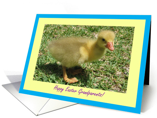 Grandparents Happy Easter - Duckling card (392570)