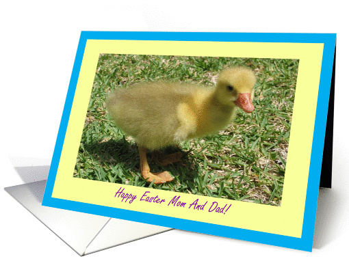 Mom And Dad Happy Easter - Duckling card (392573)