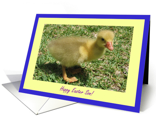 Son Happy Easter - Duckling card (392581)